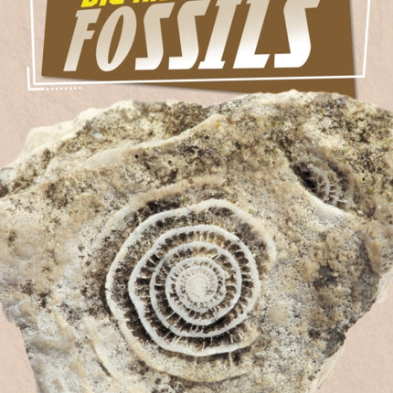 Dig and Discover Fossils