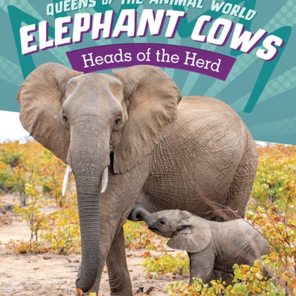 Elephant Cows: Heads of the Herd