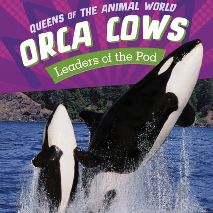 Orca Cows: Leaders of the Pod