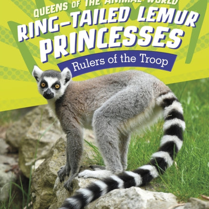 Ring-Tailed Lemur Princesses: Rulers of the Troop