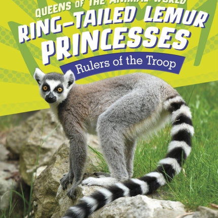 RingTailed Lemur Princesses