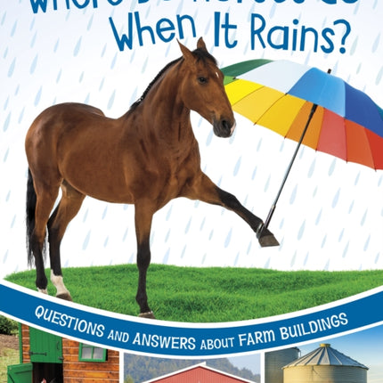 Where Do Horses Go When It Rains