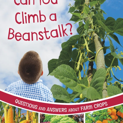 Can You Climb a Beanstalk