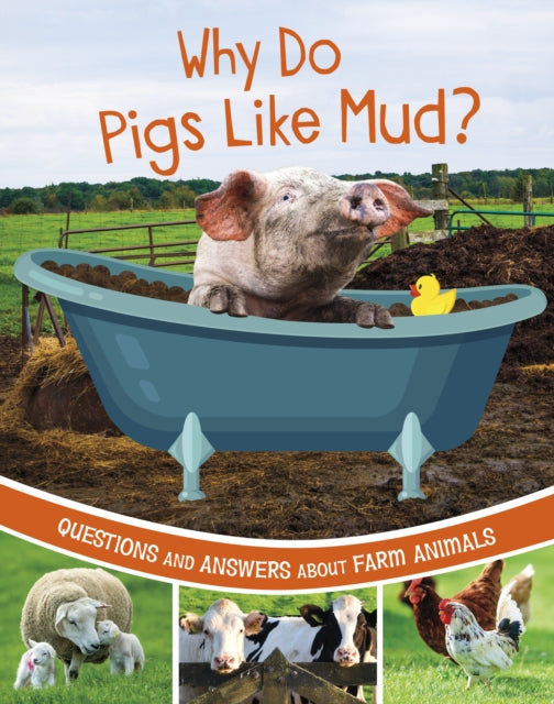 Why Do Pigs Like Mud