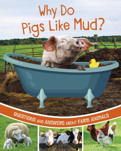 Why Do Pigs Like Mud?: Questions and Answers About Farm Animals