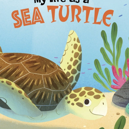 My Life as a Sea Turtle