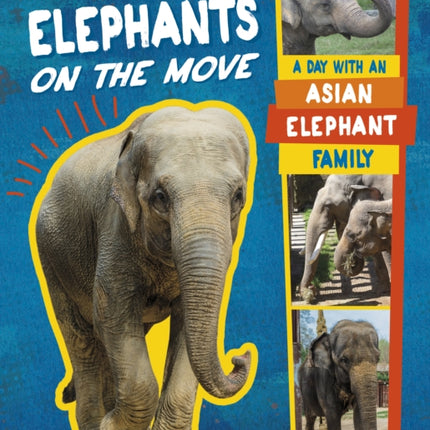 Elephants on the Move: A Day with an Asian Elephant Family