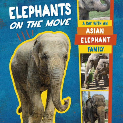 Elephants on the Move