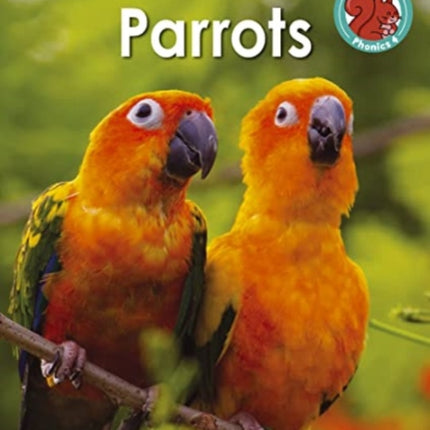 Parrots