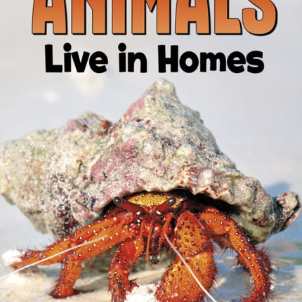 Animals Live in Homes