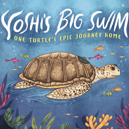 Yoshi's Big Swim: One Turtle's Epic Journey Home