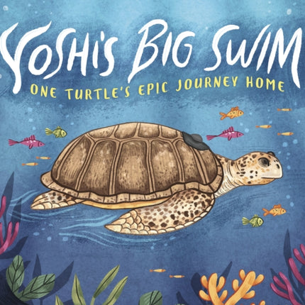 Yoshi's Big Swim: One Turtle's Epic Journey Home