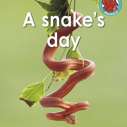 A snake's day