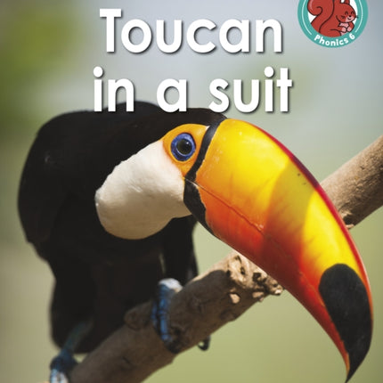 Toucan in a suit