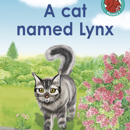 A cat named Lynx