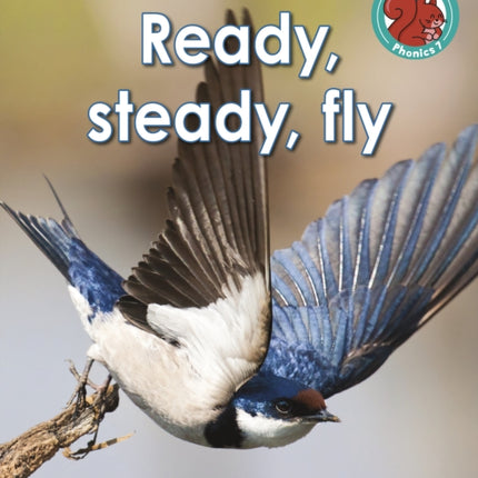 Ready, steady, fly