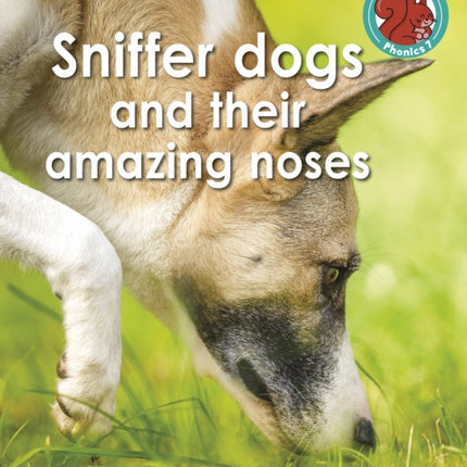 Sniffer dogs and their amazing noses