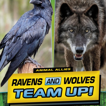 Ravens and Wolves Team Up!