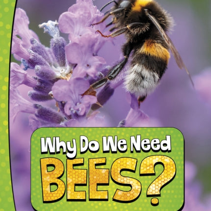 Why Do We Need Bees