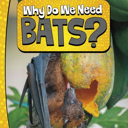 Why Do We Need Bats