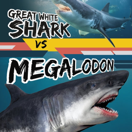 Great White Shark vs Megalodon