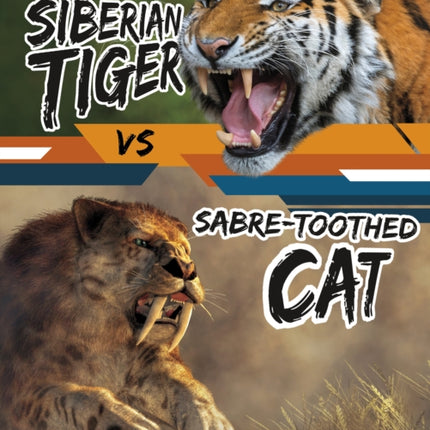 Siberian Tiger vs SabreToothed Cat