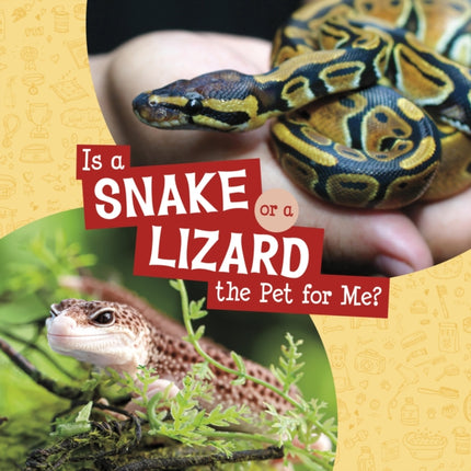 Is a Snake or a Lizard the Pet for Me