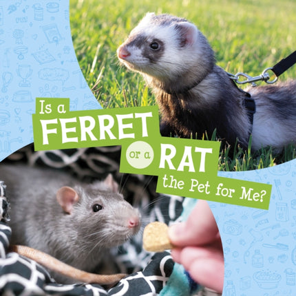 Is a Ferret or a Rat the Pet for Me