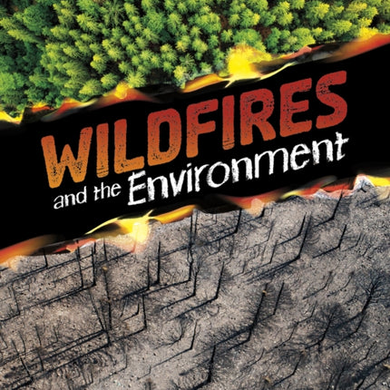 Wildfires and the Environment