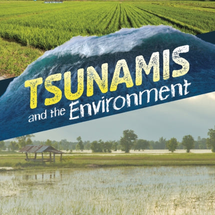 Tsunamis and the Environment