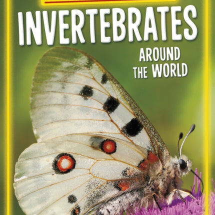 Endangered Invertebrates Around the World
