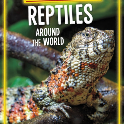 Endangered Reptiles Around the World