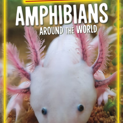 Endangered Amphibians Around the World