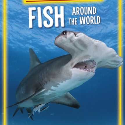 Endangered Fish Around the World