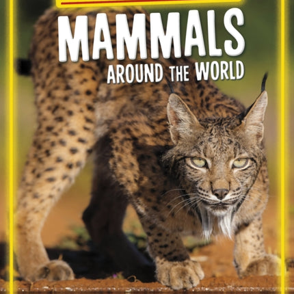 Endangered Mammals Around the World