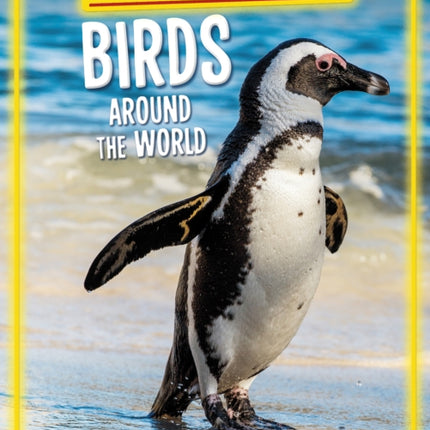 Endangered Birds Around the World