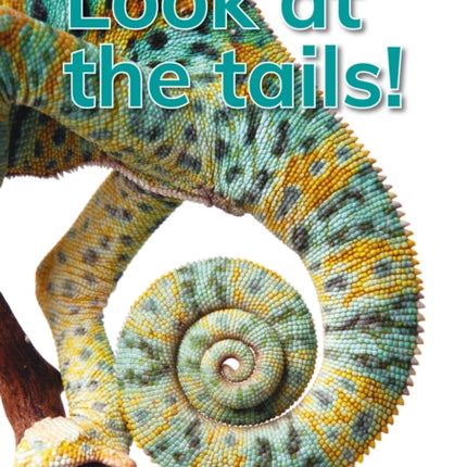 Look at the tails