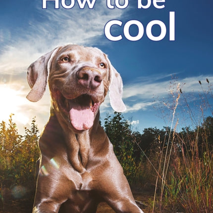 How to be cool