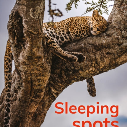 Sleeping spots