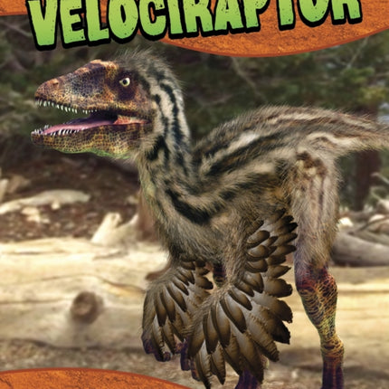 Velociraptor