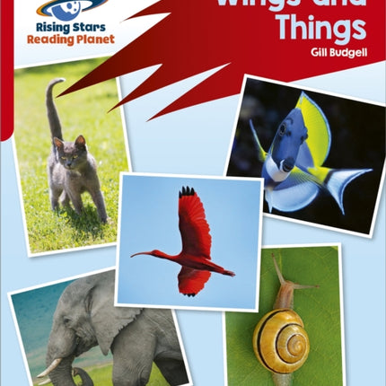 Reading Planet: Rocket Phonics – Target Practice – Wings and Things – Red B