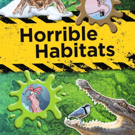 Reading Planet KS2: Horrible Habitats - Venus/Brown