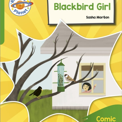 Reading Planet: Rocket Phonics – Target Practice - Blackbird Girl - Green