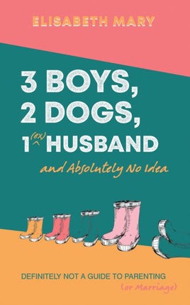 3 Boys, 2 Dogs, 1 (Ex) Husband and Absolutely No Idea: Definitely not a guide to parenting (or Marriage)