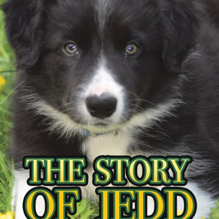 The Story of Jedd