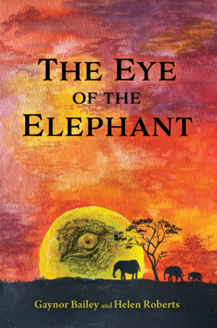 The Eye of the Elephant: And What Do You See?