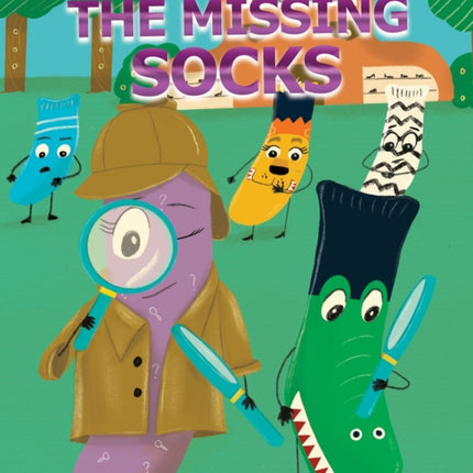 The Case of the Missing Socks