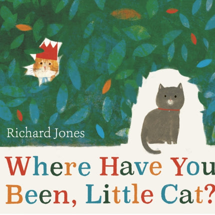 Where Have You Been, Little Cat?: A Sunday Times Children's Book of the Week