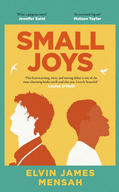 Small Joys: A Buzzfeed 'Amazing New Book You Need to Read ASAP'