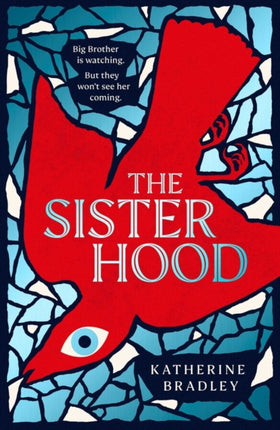 The Sisterhood: Big Brother is watching. But they won't see her coming.